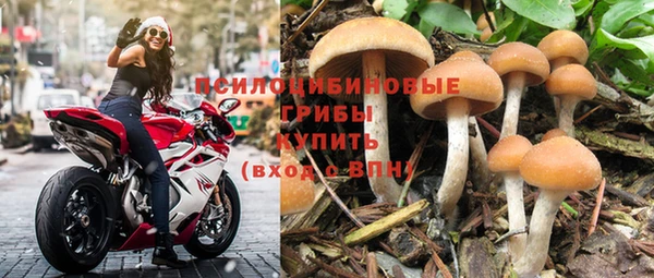 a pvp Белокуриха