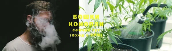 a pvp Белокуриха