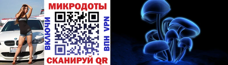 OMG tor  Верхний Тагил  Псилоцибиновые грибы Psilocybe 